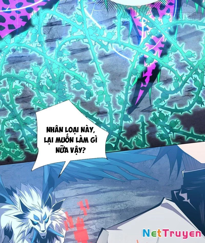 Ta Thành Vương Giả Từ Khắc Kim Chapter 4 - Trang 2