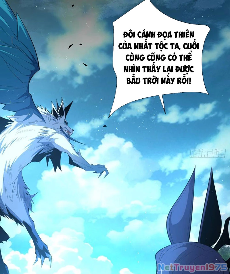 Ta Thành Vương Giả Từ Khắc Kim Chapter 5 - Trang 2