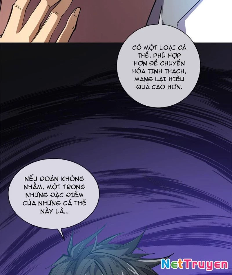 Ta Thành Vương Giả Từ Khắc Kim Chapter 13 - Trang 2