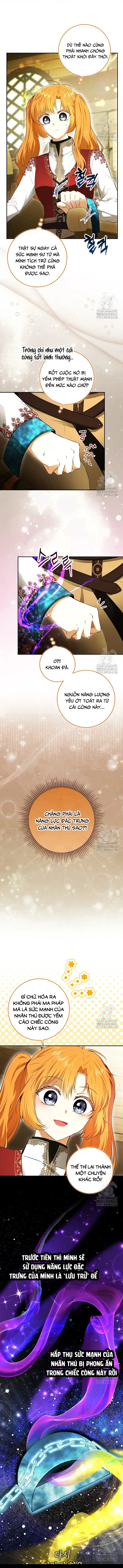 Sóc Con Tài Năng Chapter 104 - 5