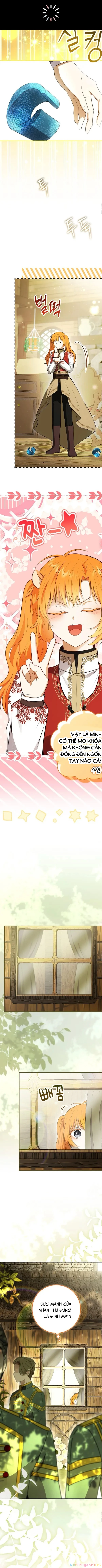 Sóc Con Tài Năng Chapter 104 - 6