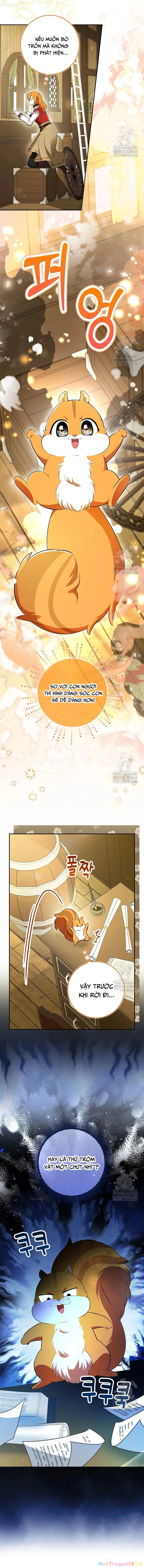 Sóc Con Tài Năng Chapter 104 - 7