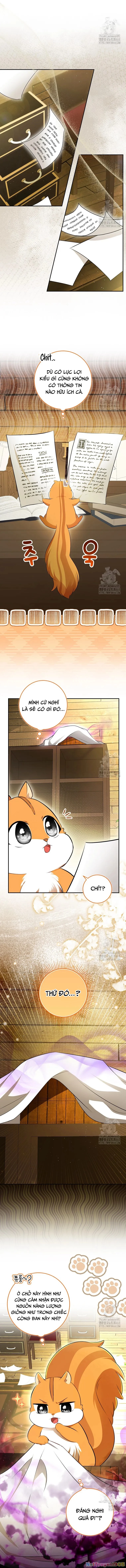 Sóc Con Tài Năng Chapter 104 - 8