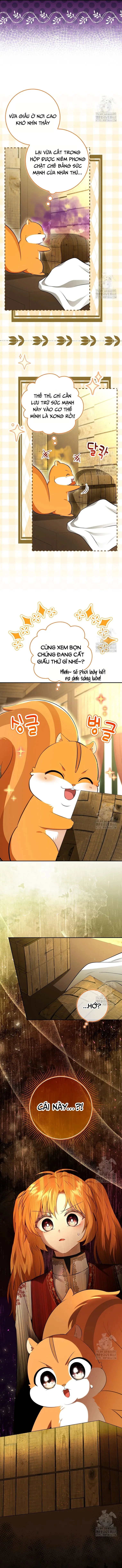 Sóc Con Tài Năng Chapter 104 - 9