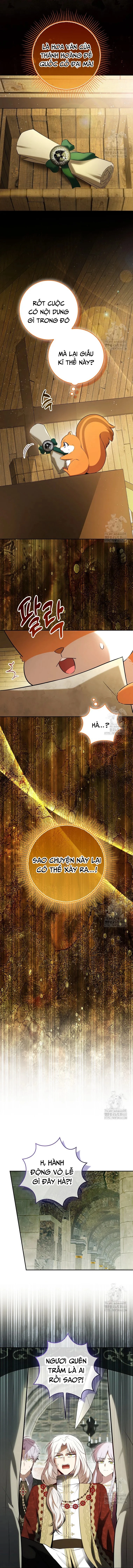 Sóc Con Tài Năng Chapter 104 - 10