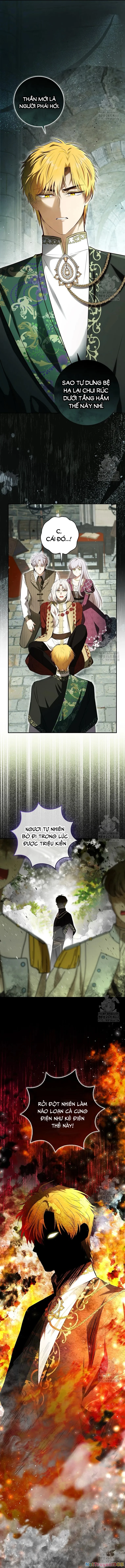 Sóc Con Tài Năng Chapter 104 - 11