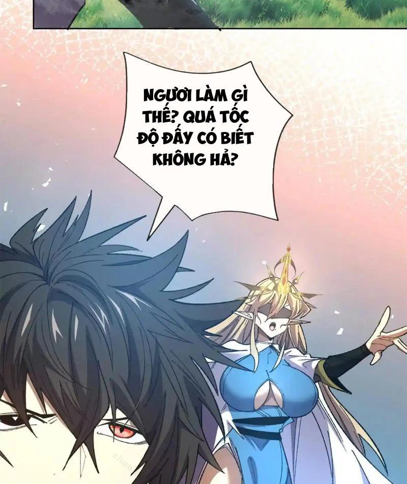 Ta Thành Vương Giả Từ Khắc Kim Chapter 16 - Trang 2