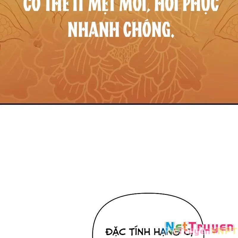 Tôi Trở Thành Người Kế Vị Chiến Thần Chapter 15 - Trang 2