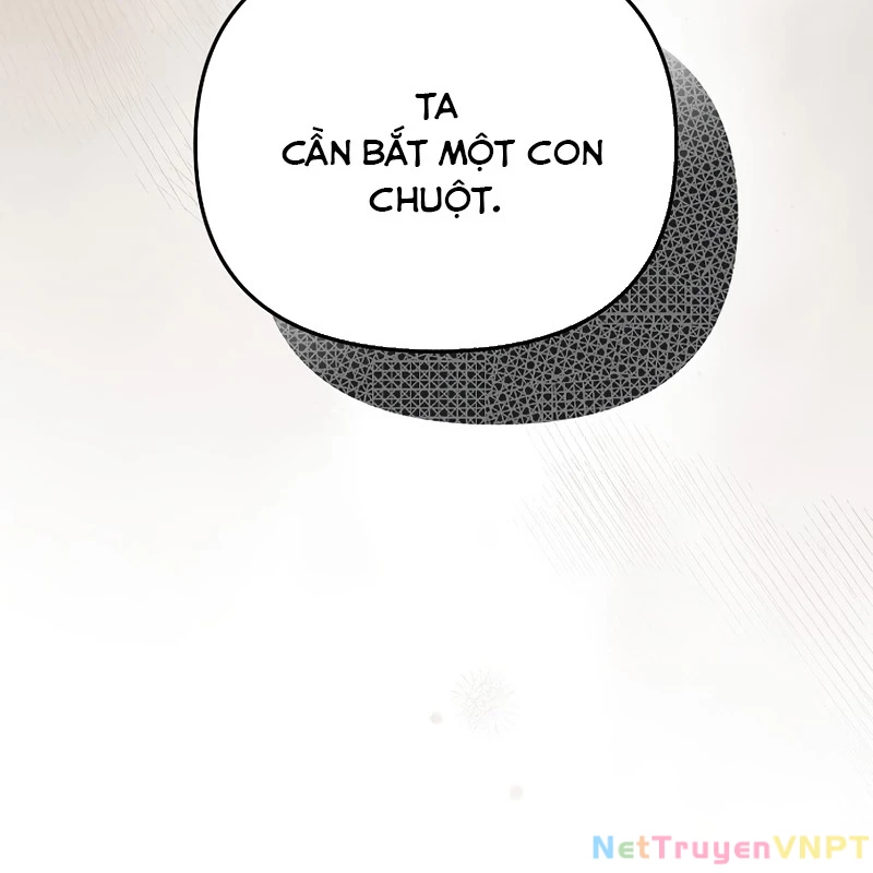 Trở Thành Thiên Tài Bất Trị Của Hắc Gia Chapter 7 - Trang 2