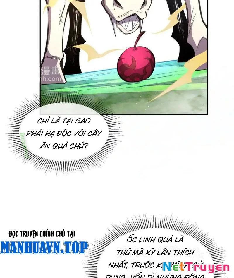 Ta Thành Vương Giả Từ Khắc Kim Chapter 18 - Trang 2
