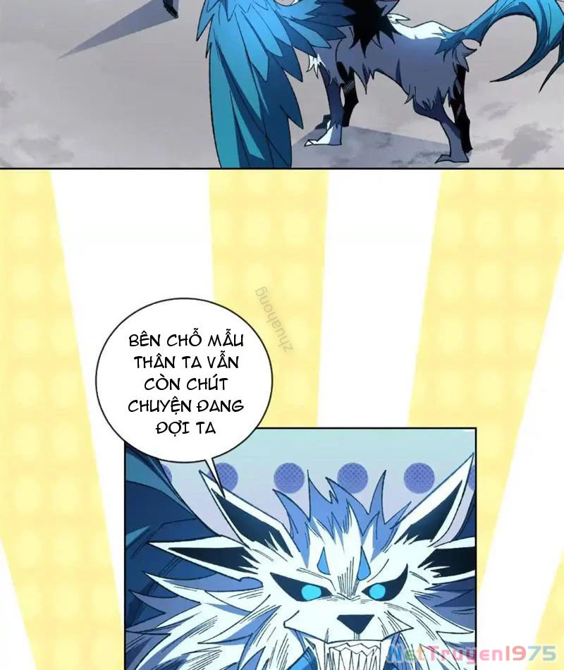 Ta Thành Vương Giả Từ Khắc Kim Chapter 19 - Trang 2