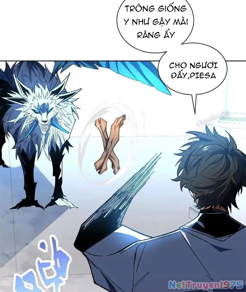 Ta Thành Vương Giả Từ Khắc Kim Chapter 19 - Trang 2