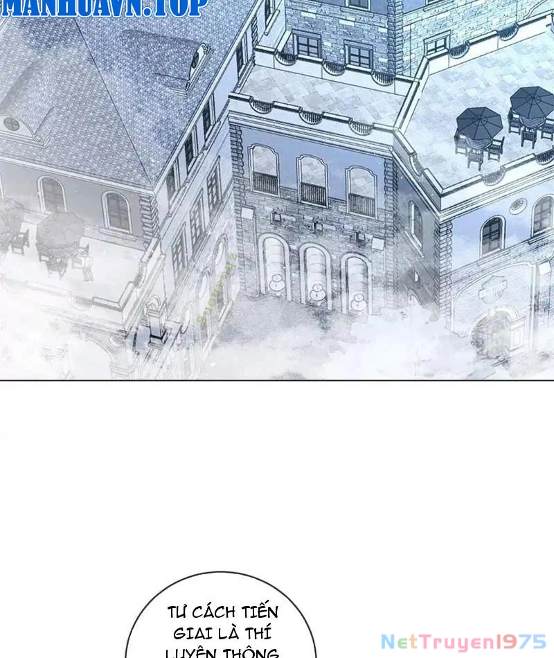 Ta Thành Vương Giả Từ Khắc Kim Chapter 19 - Trang 2