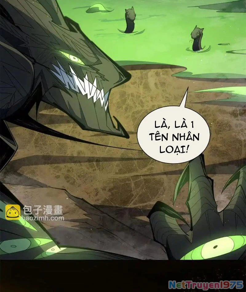 Ta Thành Vương Giả Từ Khắc Kim Chapter 24 - Trang 2