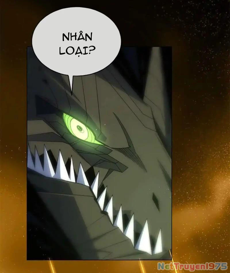 Ta Thành Vương Giả Từ Khắc Kim Chapter 24 - Trang 2
