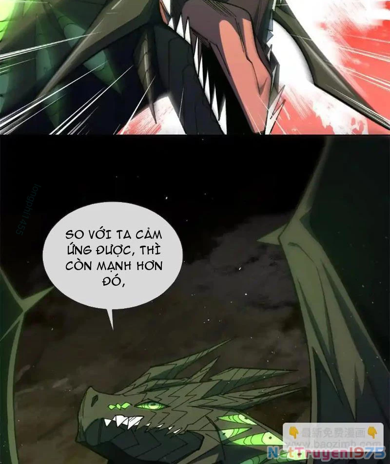 Ta Thành Vương Giả Từ Khắc Kim Chapter 25 - Trang 2