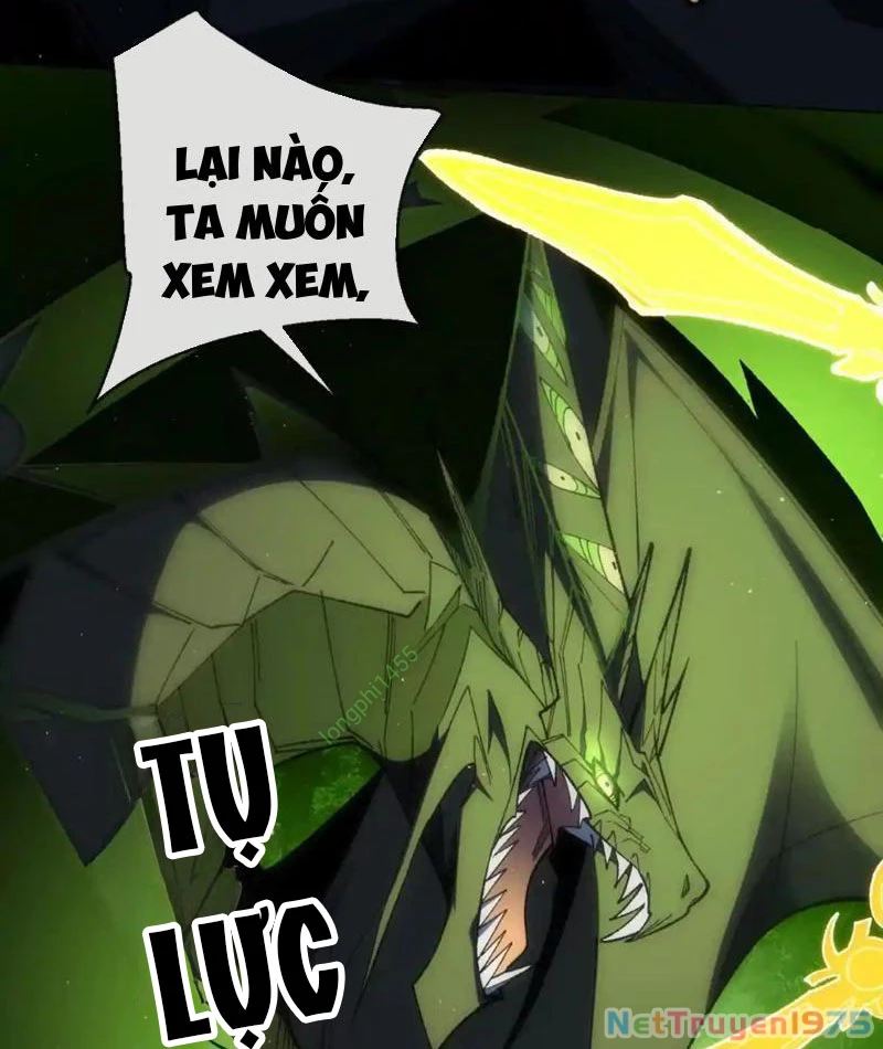 Ta Thành Vương Giả Từ Khắc Kim Chapter 25 - Trang 2