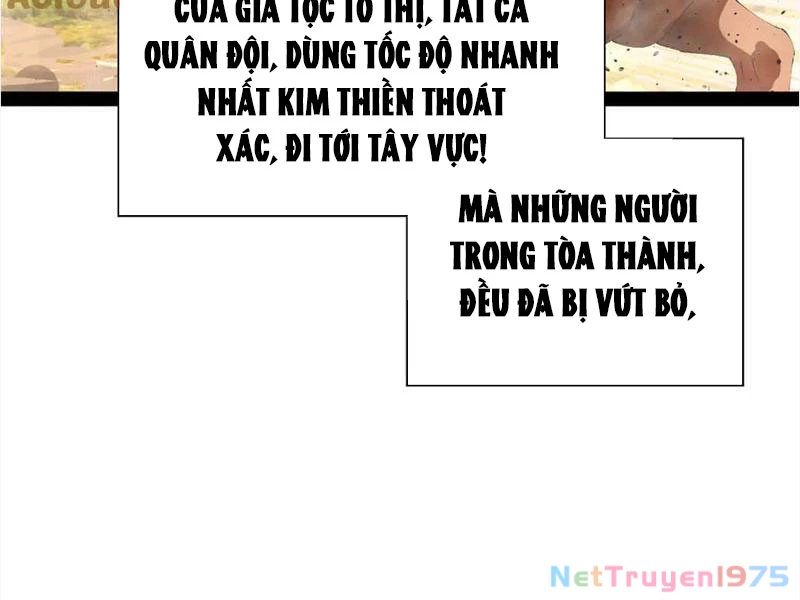 Chàng Rể Mạnh Nhất Lịch Sử Chapter 290 - 78