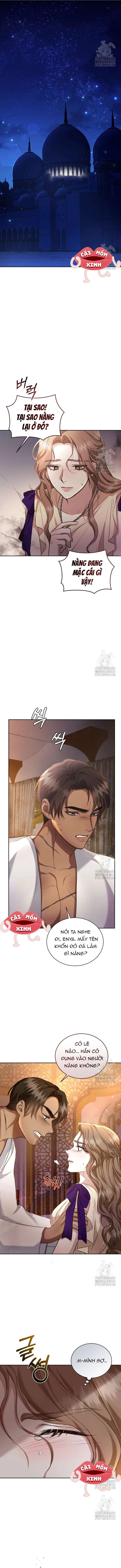 Khu Rừng Hoang Dã Chapter 8 - 11