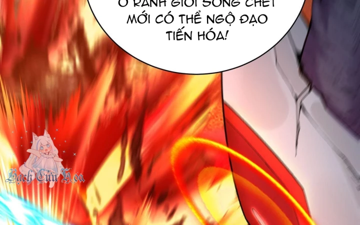 Ta Nhặt Được Thuộc Tính Tại Tu Chân Giới Chapter 362 - 137