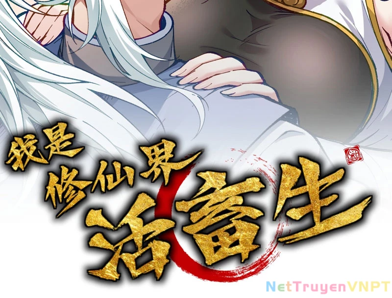 Ta Làm Súc Vật Ở Tu Tiên Giới Chapter 41 - Trang 2