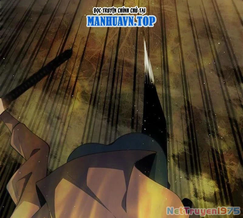 Ta Thành Vương Giả Từ Khắc Kim Chapter 26 - Trang 2