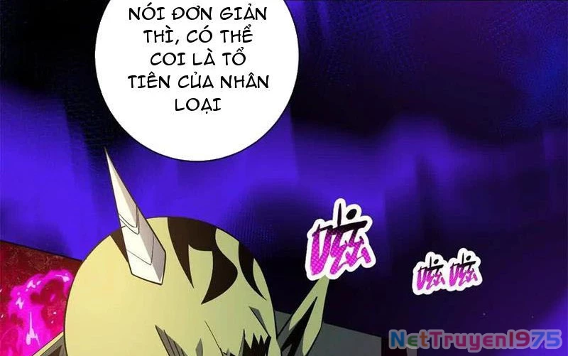 Ta Thành Vương Giả Từ Khắc Kim Chapter 26 - Trang 2