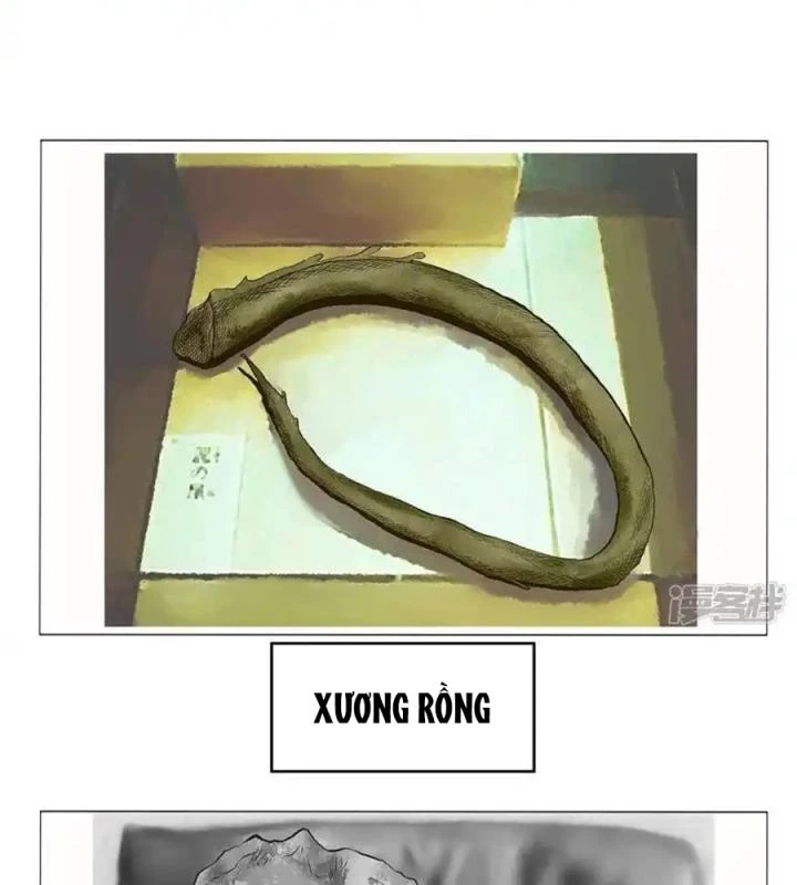 Kẻ Thách Thức Hay Nhà Không Tưởng Chapter 2 - 17