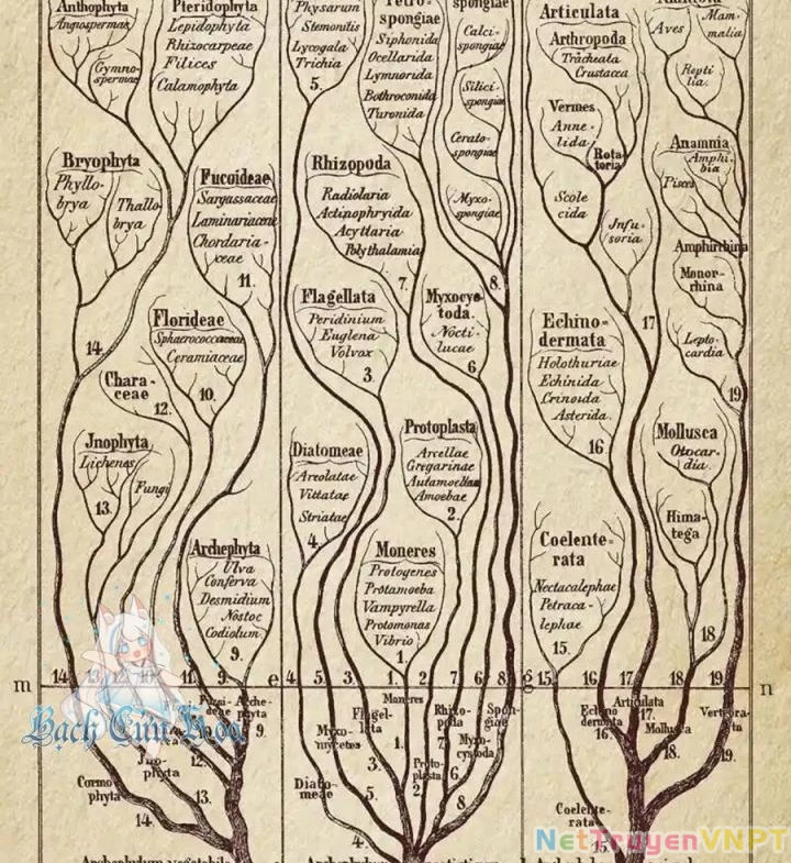 Kẻ Thách Thức Hay Nhà Không Tưởng Chapter 2 - 34