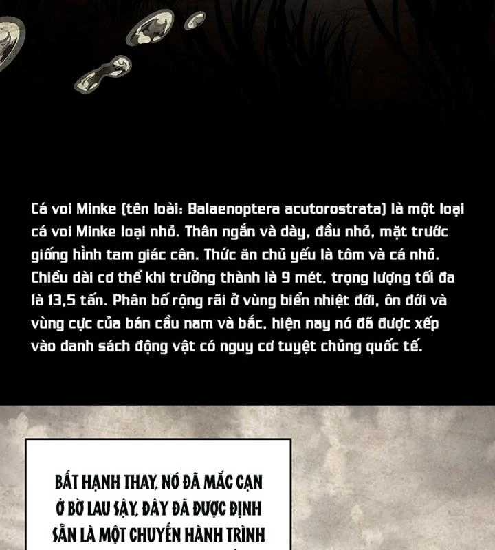 Kẻ Thách Thức Hay Nhà Không Tưởng Chapter 4 - 11