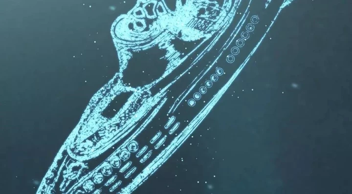 Kẻ Thách Thức Hay Nhà Không Tưởng Chapter 18 - 83