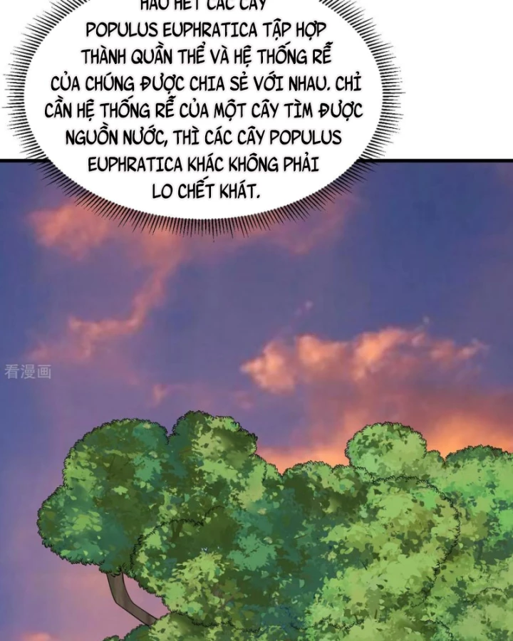 Sống Trên Hoang đảo Cùng Các Em Gái Chapter 316 - 11