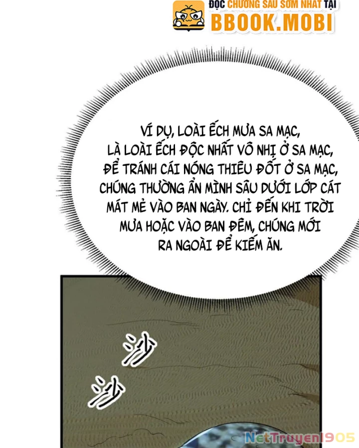 Sống Trên Hoang đảo Cùng Các Em Gái Chapter 317 - 53