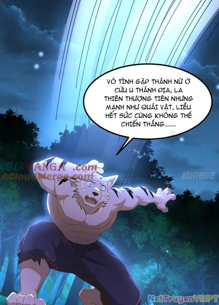 Tu chân trăm vạn năm: Đệ tử của ta trải rộng tiên giới Chapter 51 - Trang 2
