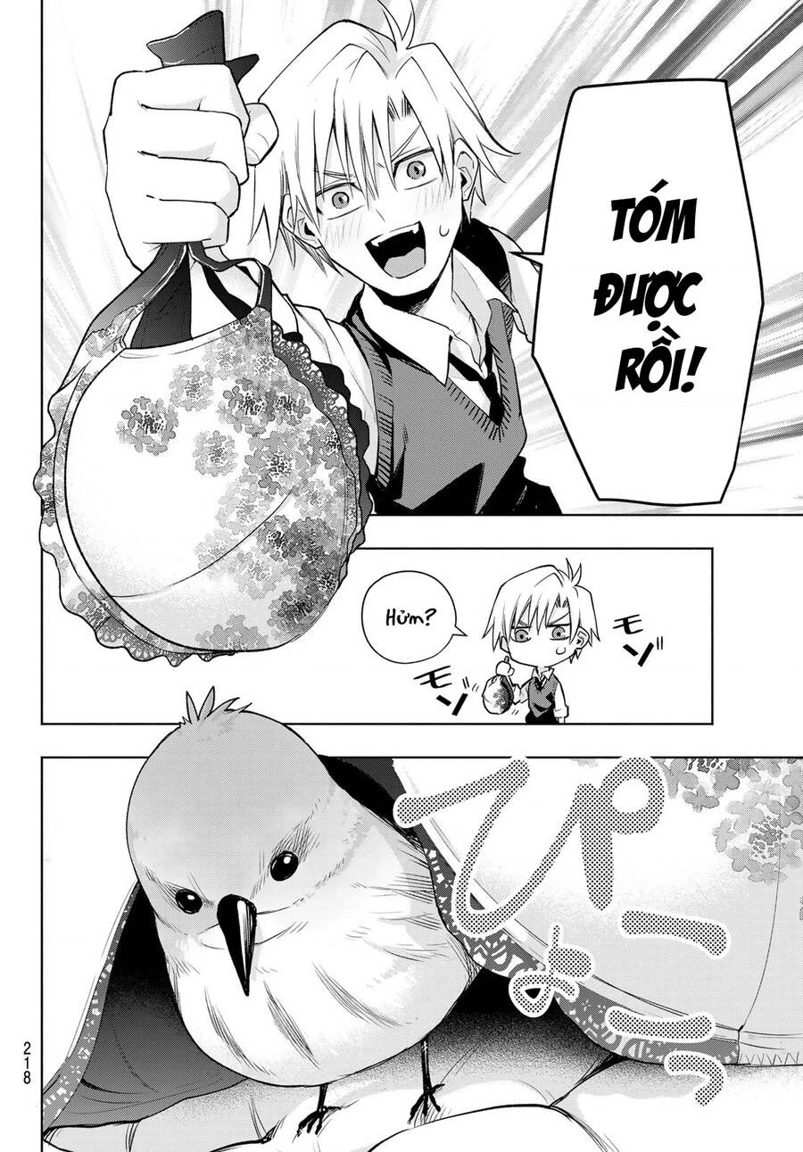 Amagami-San Chi No Enmusubi Chapter 85 - 13