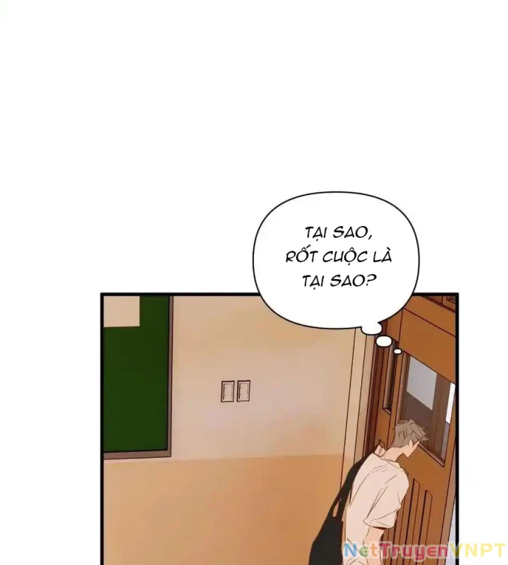 Hoàng Tử Bé Chapter 19 - 7