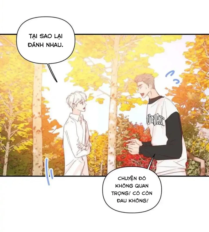 Hoàng Tử Bé Chapter 32 - 28