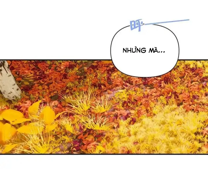 Hoàng Tử Bé Chapter 32 - 54
