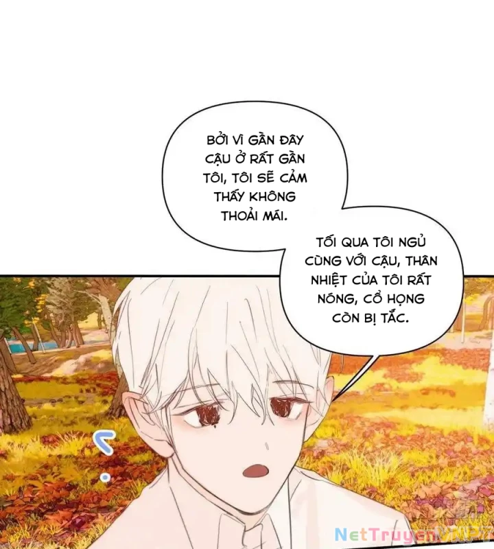 Hoàng Tử Bé Chapter 32 - 65