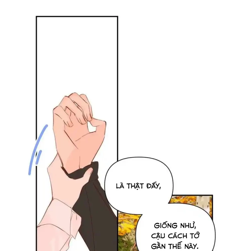 Hoàng Tử Bé Chapter 32 - 68