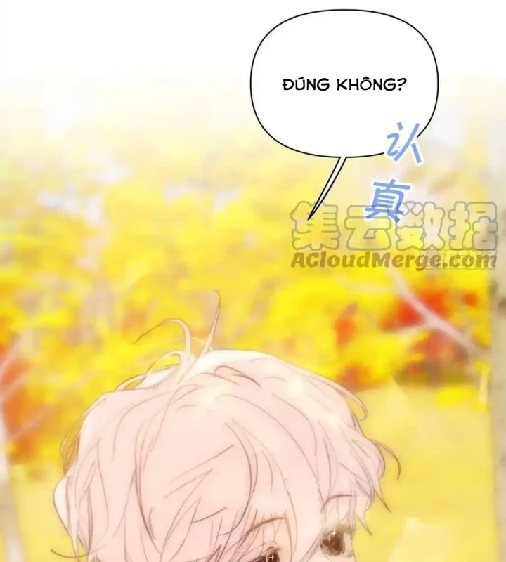 Hoàng Tử Bé Chapter 32 - 72