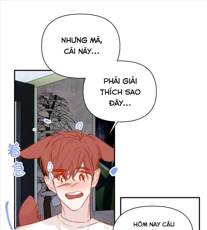 Hoàng Tử Bé Chapter 38 - 78