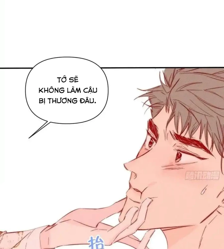 Hoàng Tử Bé Chapter 41 - 29