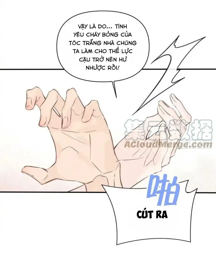Hoàng Tử Bé Chapter 49 - 16