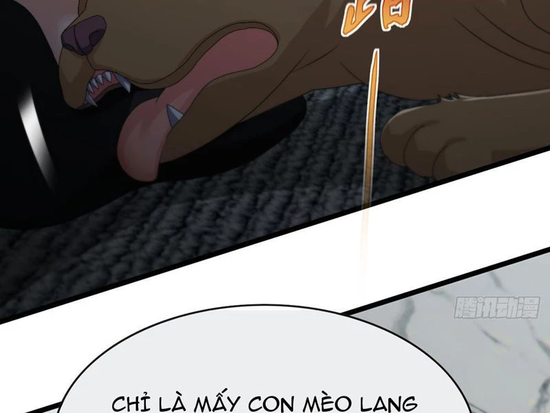 Đại Lão Xuống Núi: Bắt Đầu Từ Việc Trở Thành Thư Ký Chapter 95 - 4