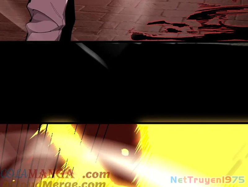 Thánh Hiệp Sĩ Cấp Sss Chapter 70 - Trang 2