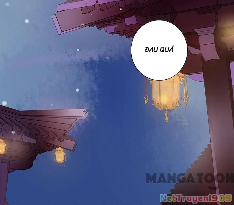 Nhất Phẩm Đích Nữ Chapter 2 - 2