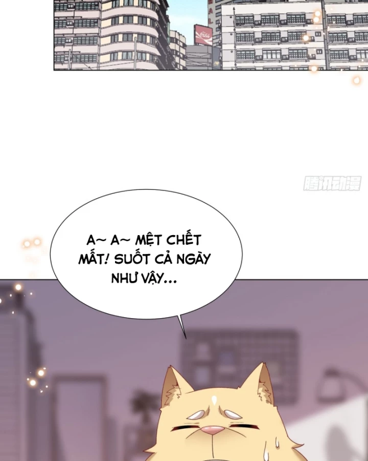 Kế Hoạch Nuôi Dưỡng Streamer Của Cẩu Hoàng Chapter 15 - Trang 2