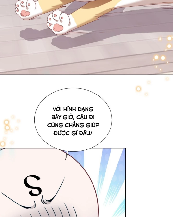 Kế Hoạch Nuôi Dưỡng Streamer Của Cẩu Hoàng Chapter 15 - Trang 2