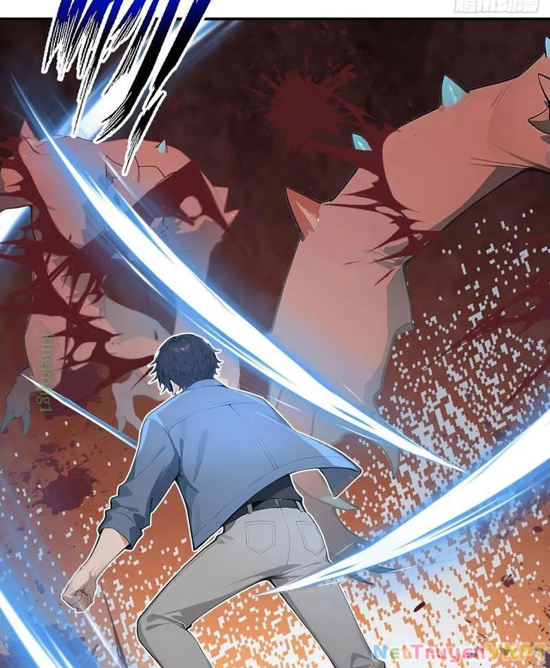Vô Địch Bắt Đầu Từ Trúc Cơ Chapter 61 - Trang 2